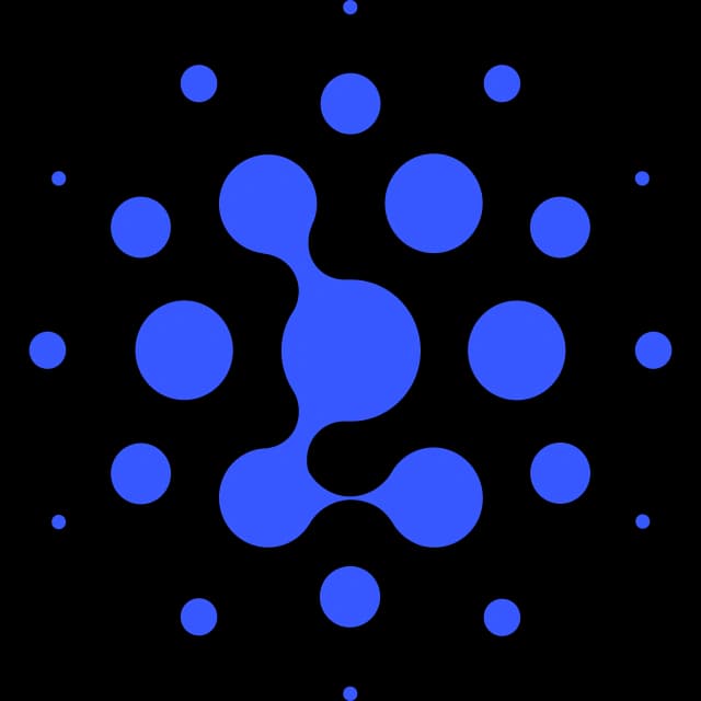 Z AI